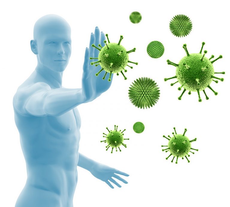 renforcer-son-systeme-immunitaire 1